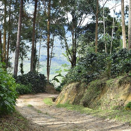 فندق Mariscal Castillaفي  Finca Santa Rosa المظهر الخارجي الصورة