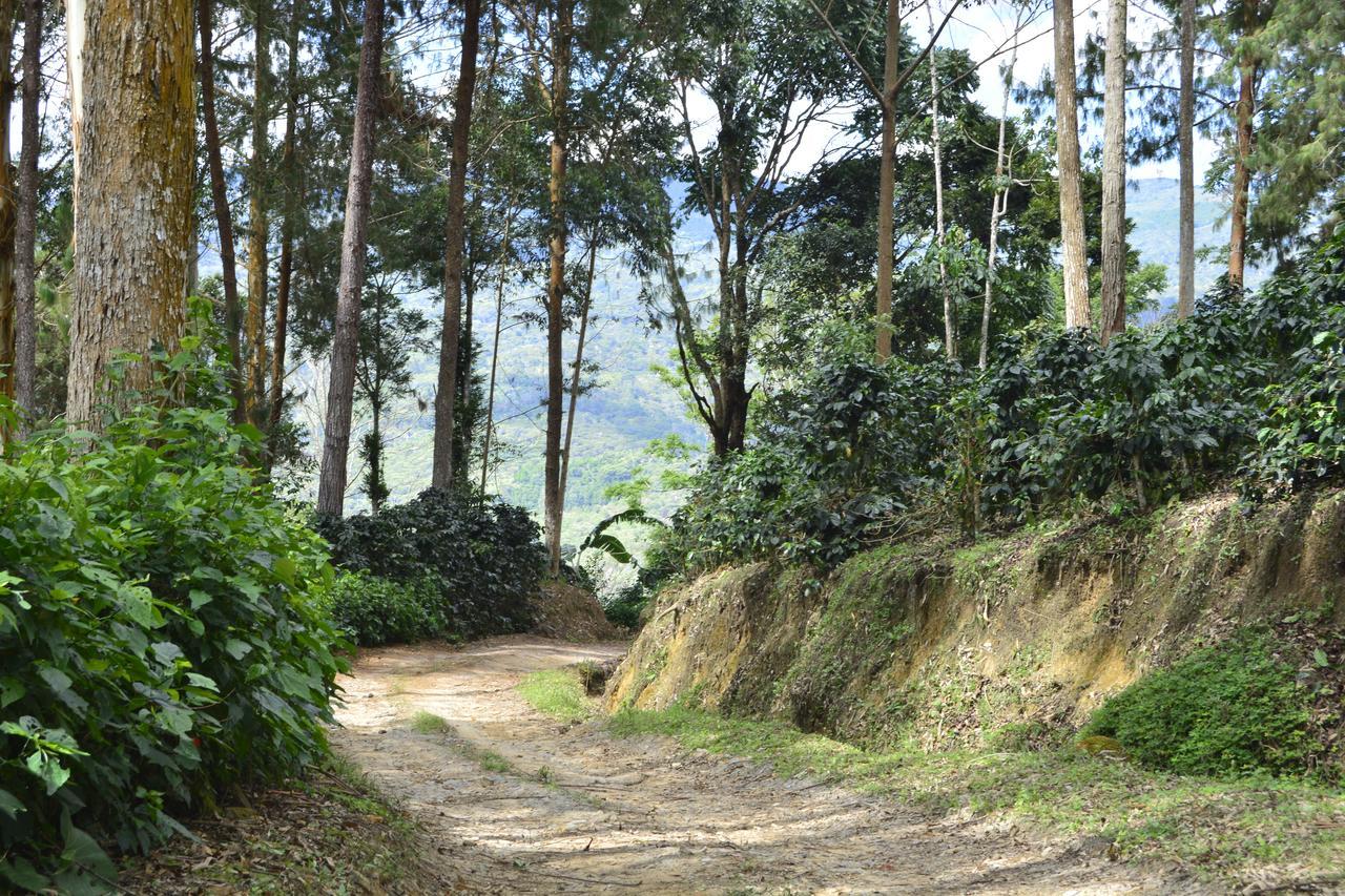 فندق Mariscal Castillaفي  Finca Santa Rosa المظهر الخارجي الصورة