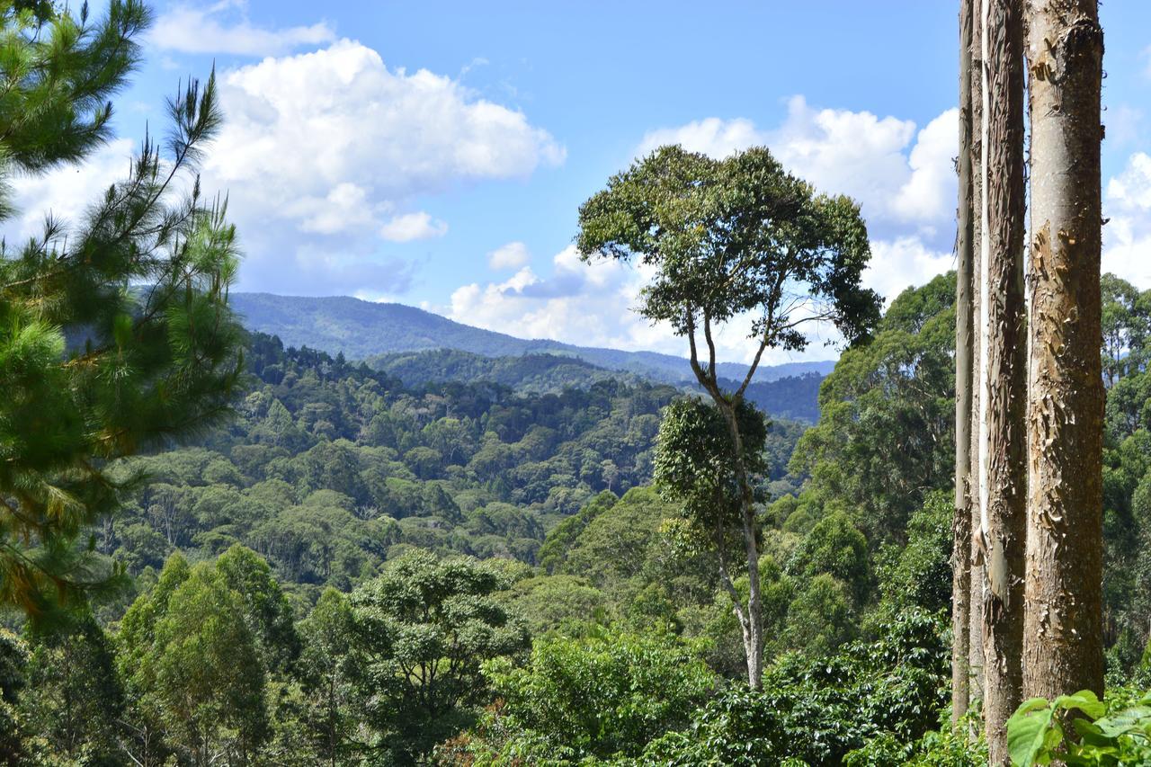 فندق Mariscal Castillaفي  Finca Santa Rosa المظهر الخارجي الصورة