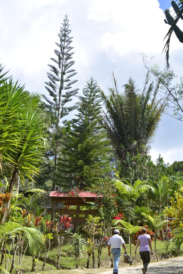 فندق Mariscal Castillaفي  Finca Santa Rosa المظهر الخارجي الصورة